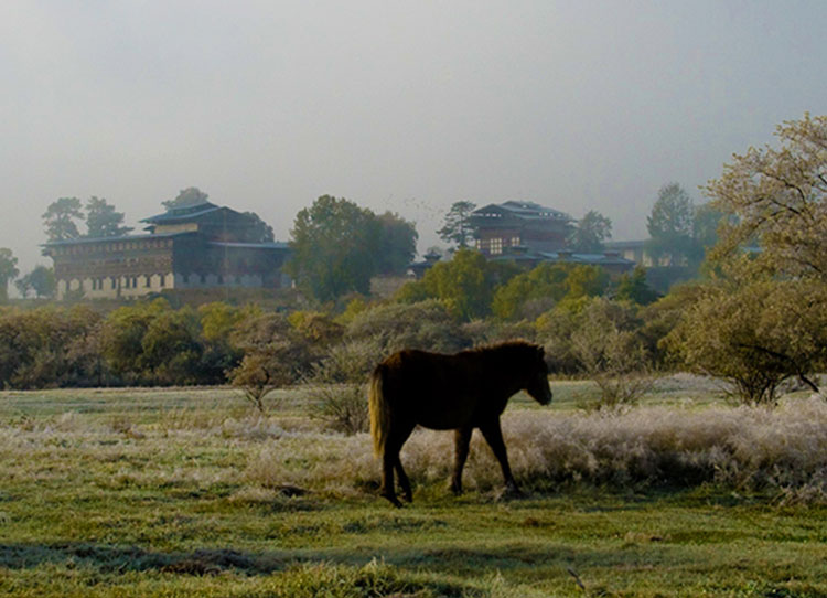 Indeed Its Heavenly Bhutan