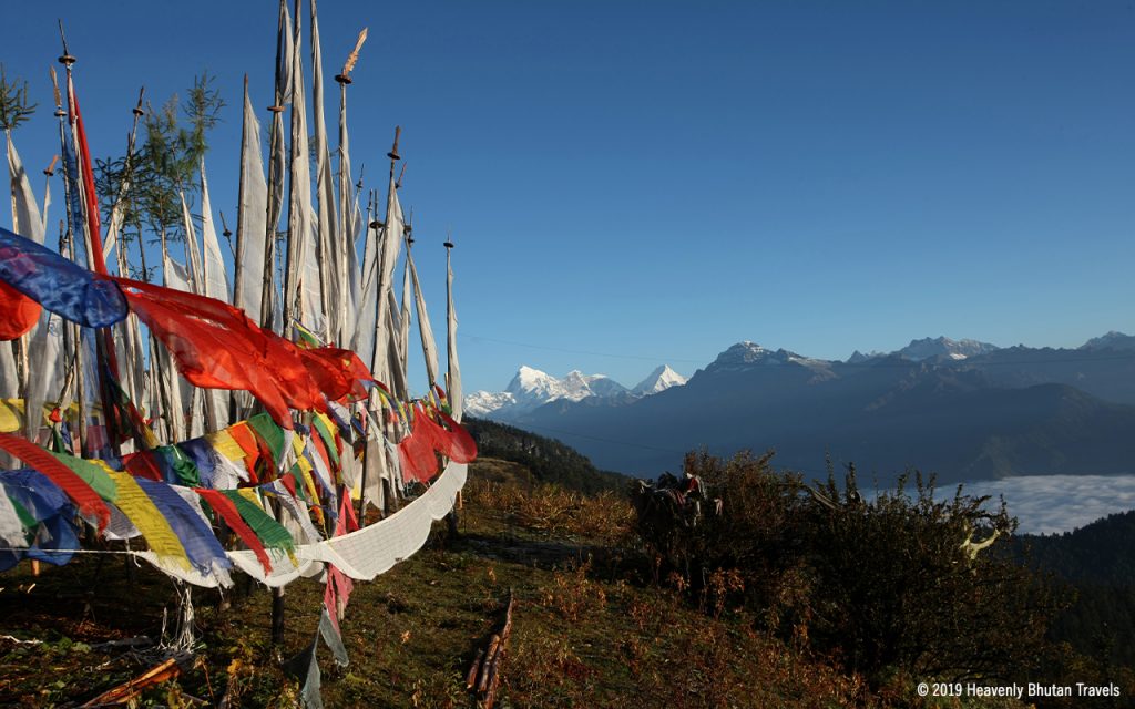 Mushroom Festival in Bhutan