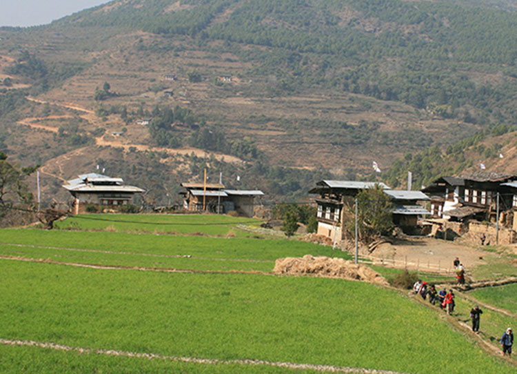 Samtengang Winter Trek Bhutan