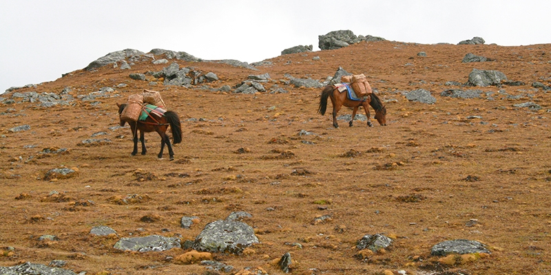 Nub Tshona Pata Trek Haa, Juneydrak Hermitage