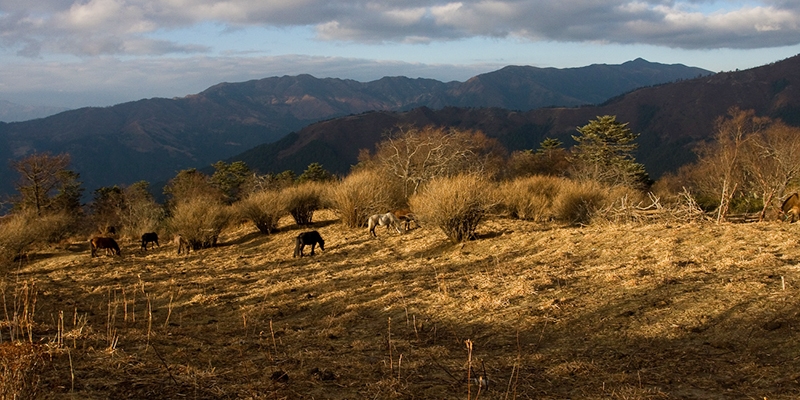 Samtegang Winter Trek in Bhutan