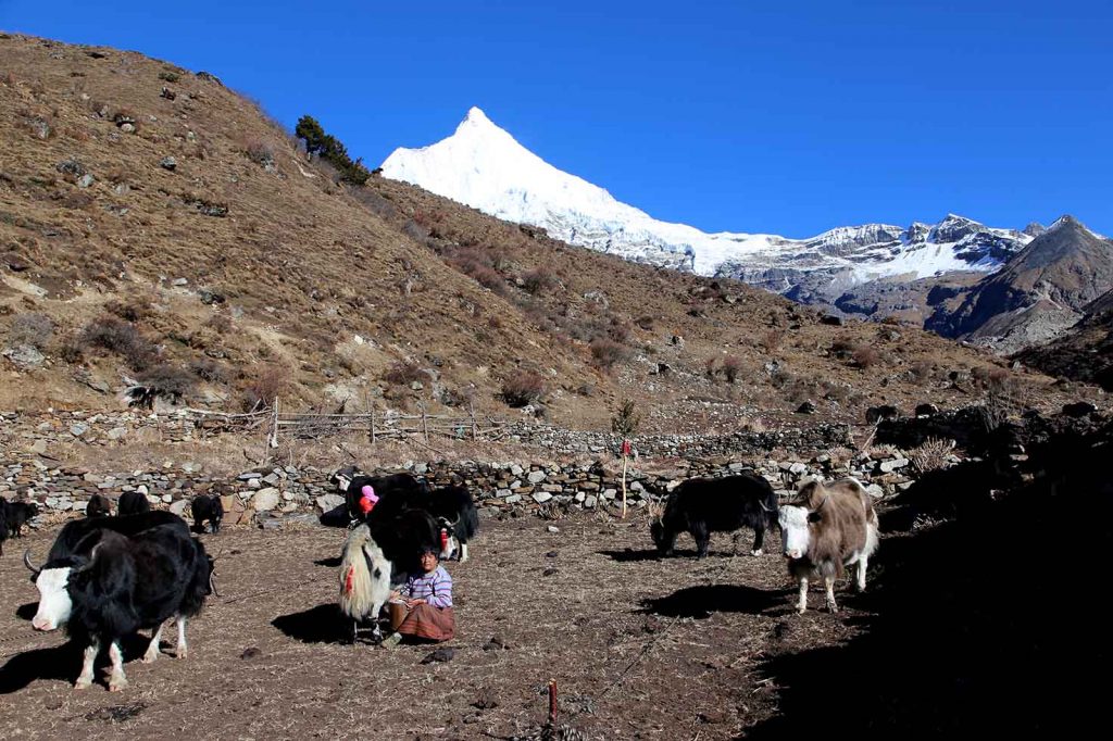 Day Hikes in Gasa