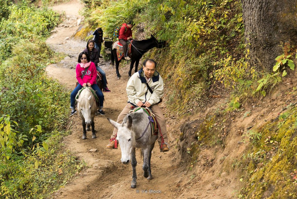 Day Hikes in Paro