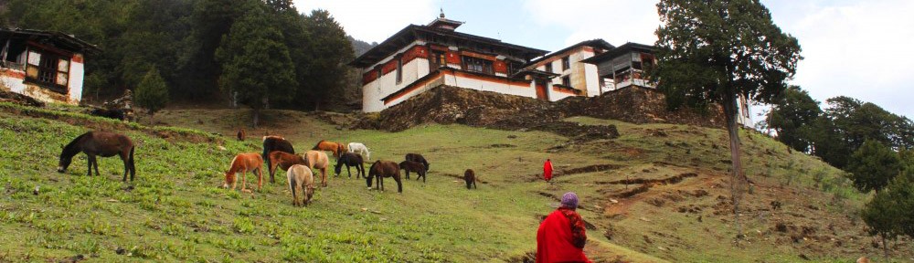 Banner Phajoding Monastery