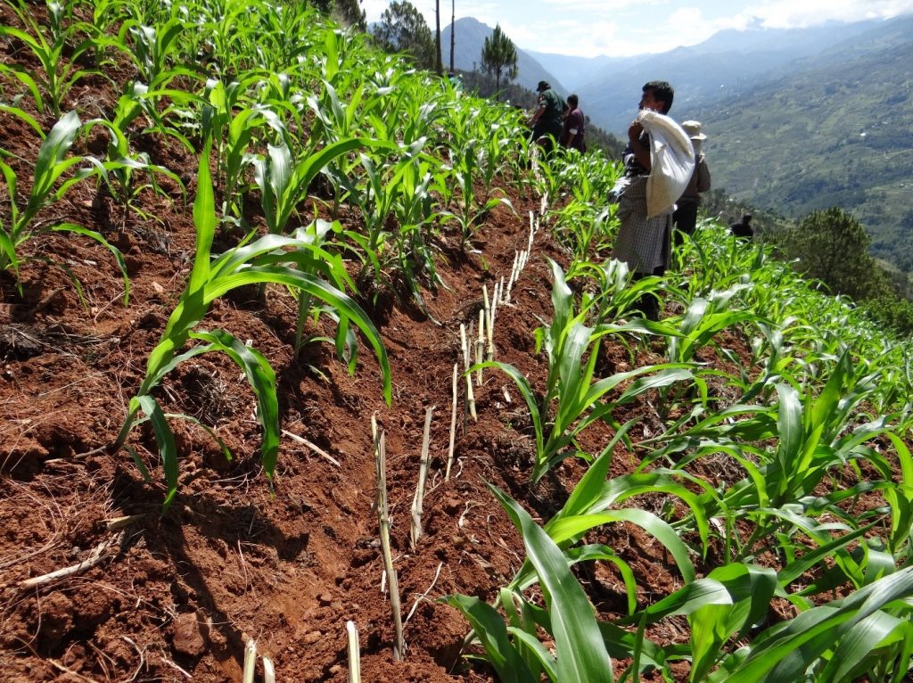 Farming Tour in Bhutan-Day Hikes in Tsirang