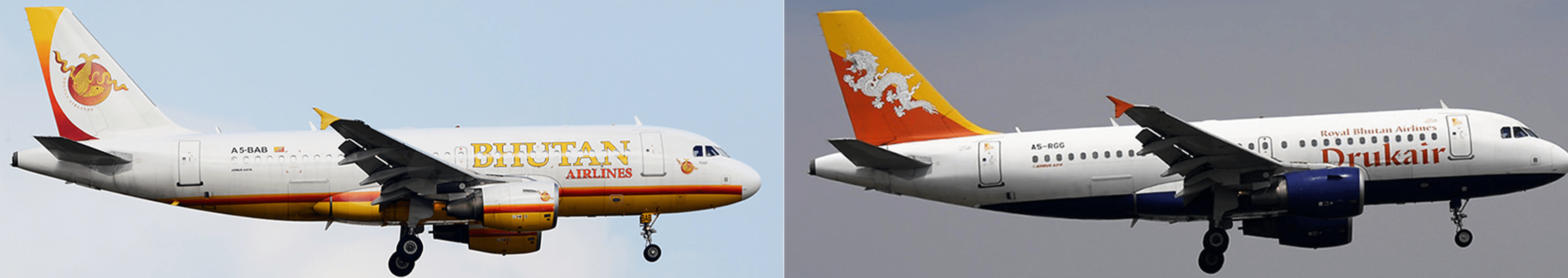 National Carriers in Bhutan