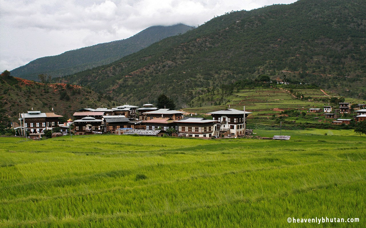 Nature Tours in Bhutan, Away-From-City-and-Museums-Chimi-Lhakhang