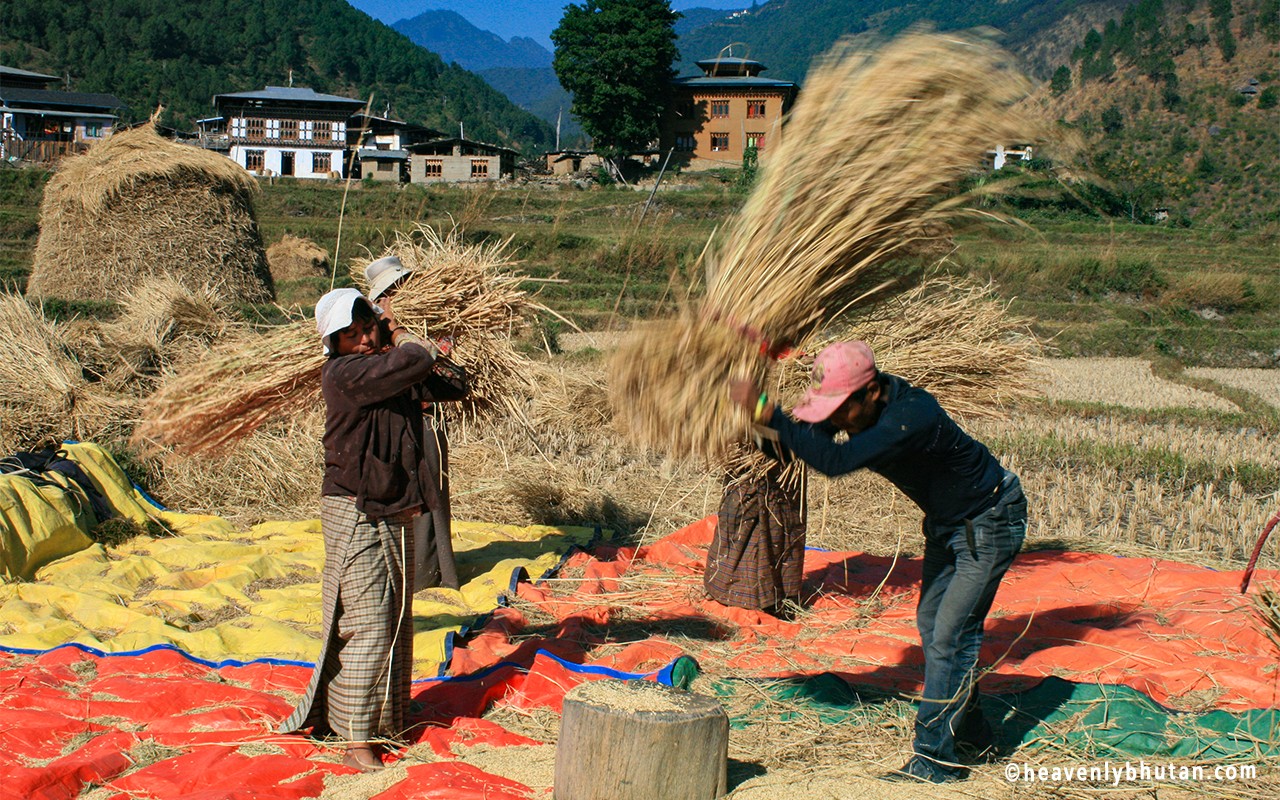 Southern-Bhutan-Offbeat- Away-From-City-and-Museums-Villages