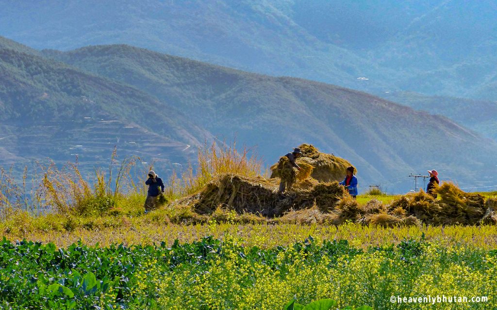 Photo Tours of Bhutan, Photography-Tours