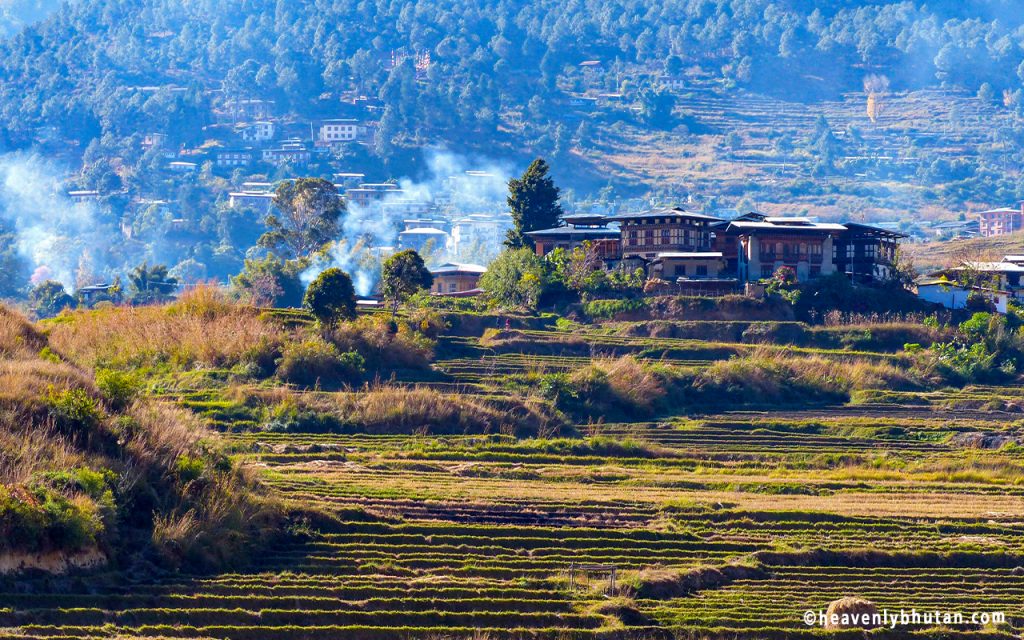 Village Hike Tours, Himalayas-Trials, Chimi-Lhakhang-Village