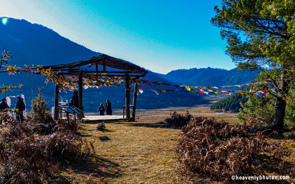 Best View Hikes, Himalayas-Trials-Phojikha