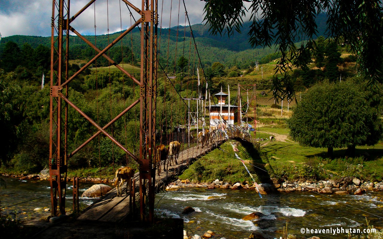 Discover Indian Subcontinent Tours- Indeed-its-Heavenly-Bhutan-Bridge