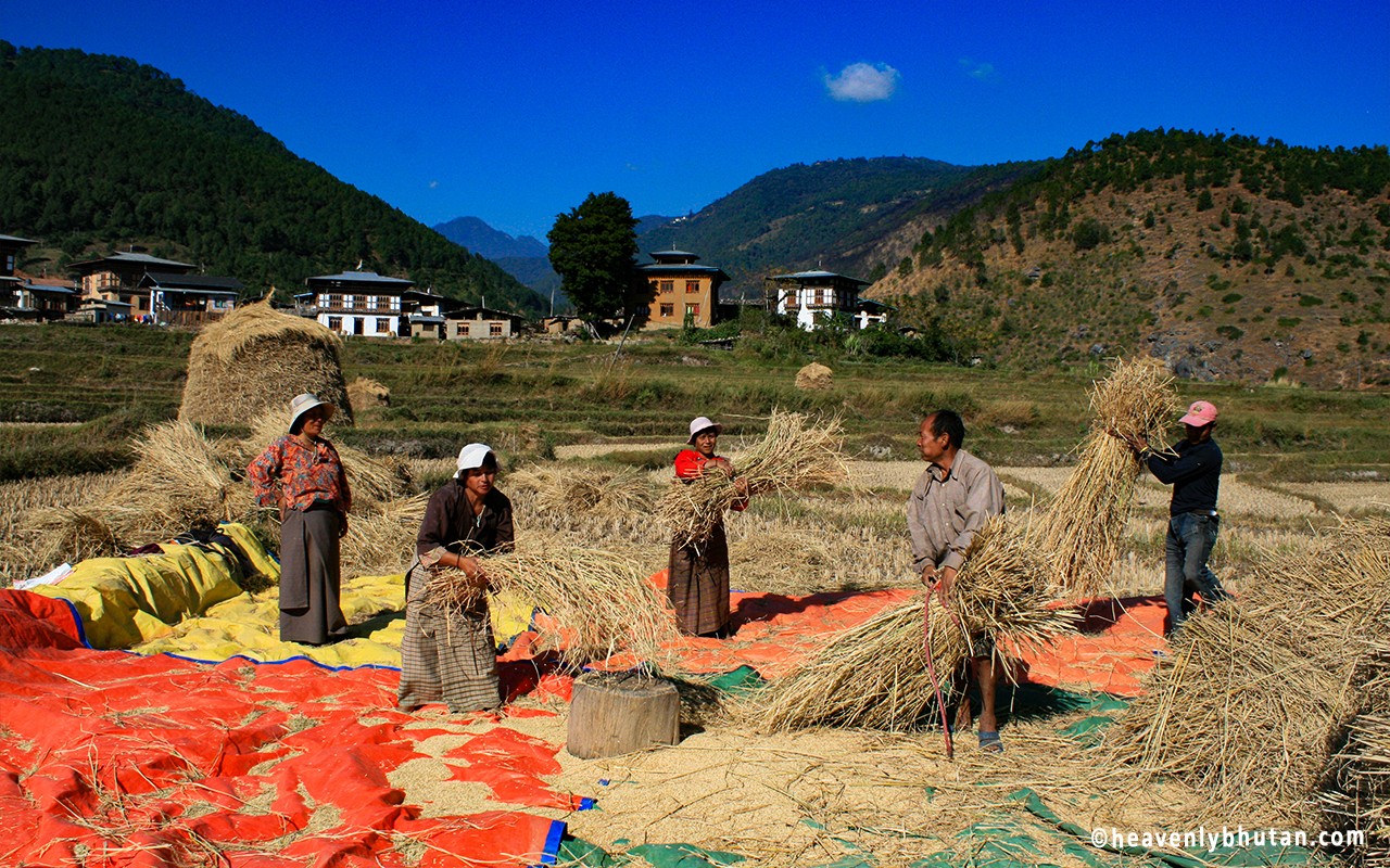 Village Homestay Journeys, Local Journey to Bhutan