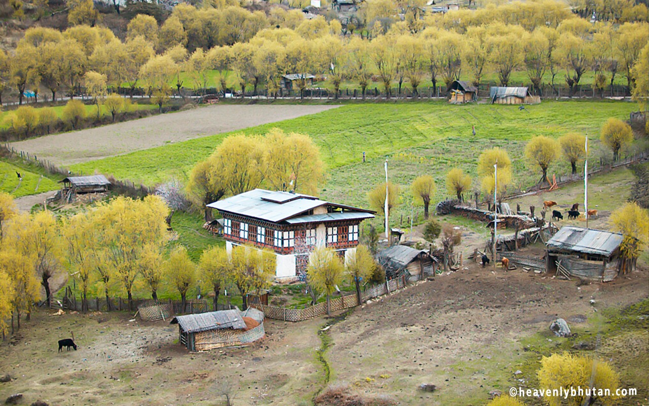 Homestay Holidays, Local-Journey-to-Bhutan, Bhutanese-House