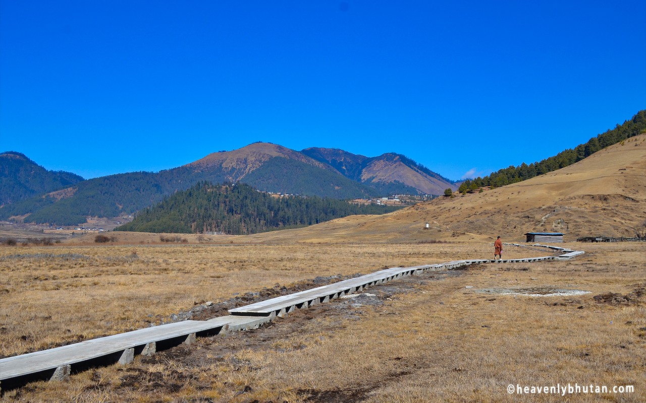 Nature Walks in Bhutan, Route-to-Happiness-Gangtey-Walk-Trials, Gangtey Nature Hike-Gangtey Nature Trail