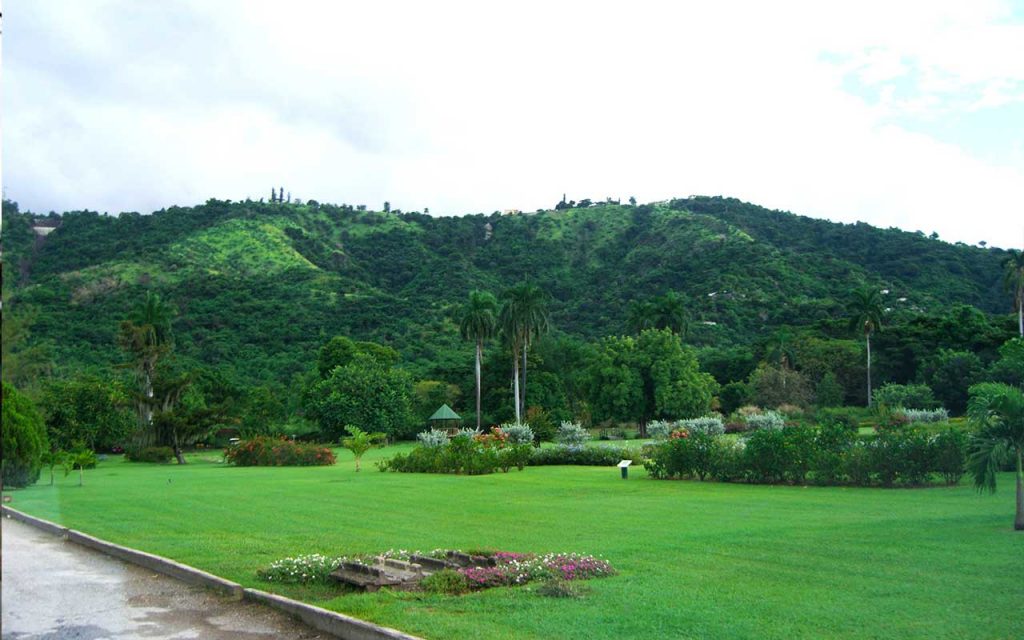 Babesa Botanical Garden, Place to Visit in Thimphu-Attraction in Thimphu