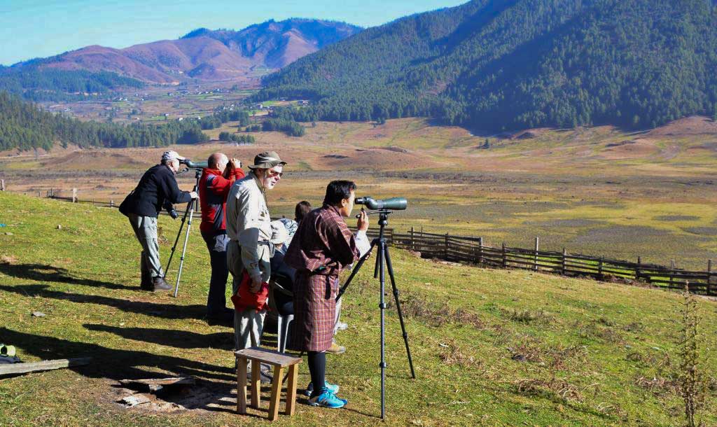 Birds in Punakha, Place to Visit in Punakha, Bhutan-Attraction in Punakha