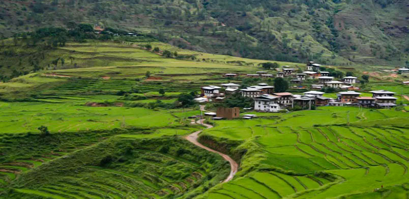 Chimi Lhakhang, Place to Visit in Punakha-Bhutan-Attraction in Punakha