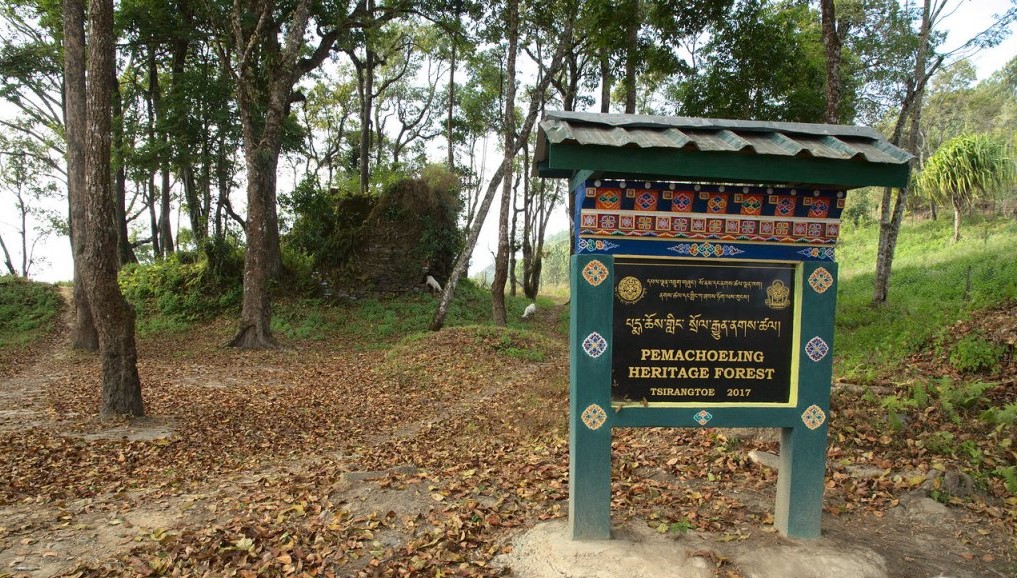 Pemachoeling Heritage Forest, Place to Visit in Tsirang-Attractions in Tsirang