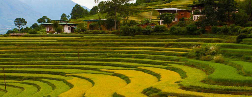 Ritsha Village, Place to Visit in Punakha-Bhutan-Attraction in Punakha