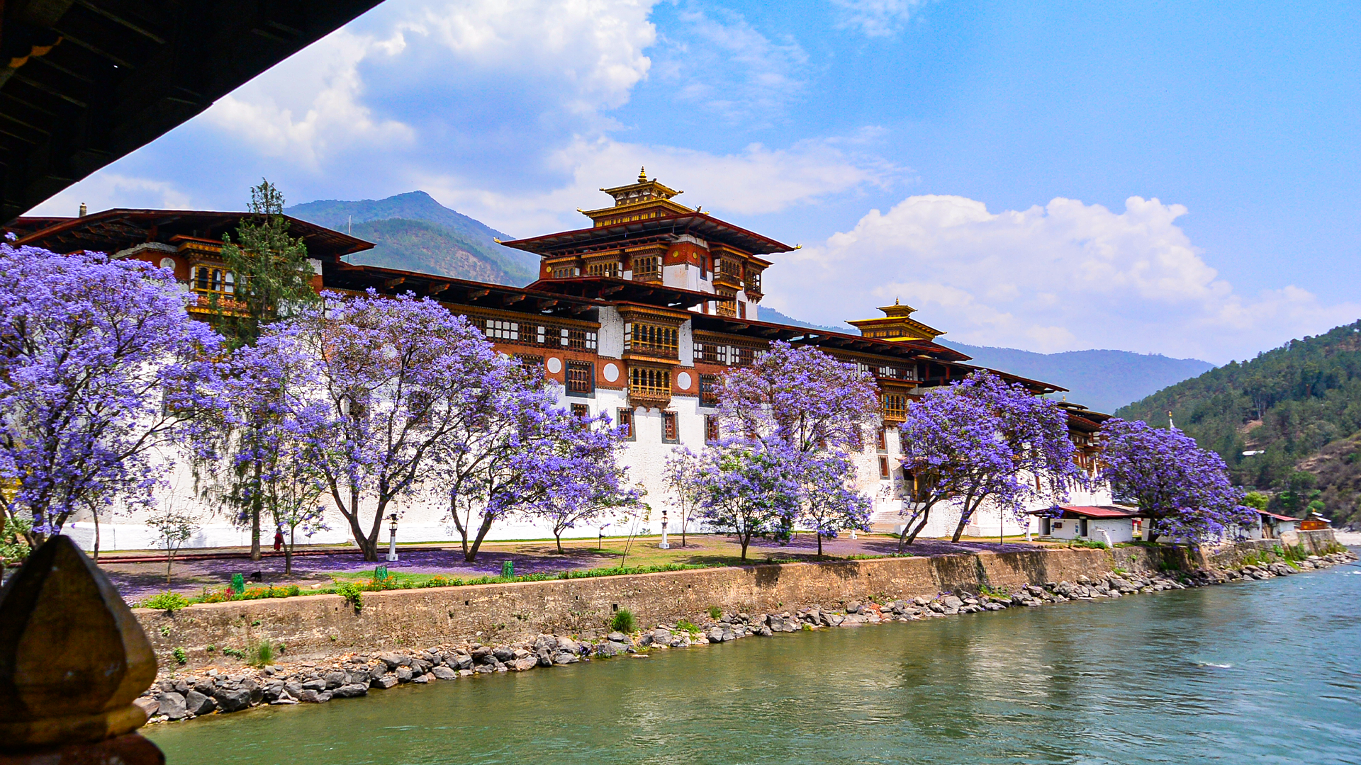 Punakha Dzong, Punakha