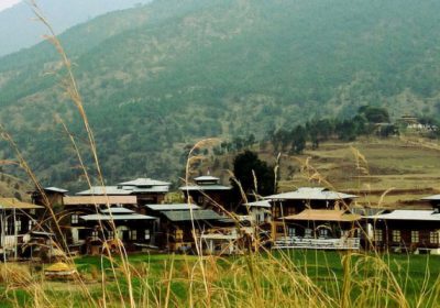 Adha And Rukha, Place to Visit in Wangdue Phodrang-Attractions in Wangdue Phodrang