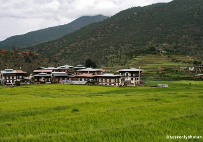 Nature Tours in Bhutan, Away-From-City-and-Museums-Chimi-Lhakhang