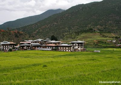 tour package of bhutan