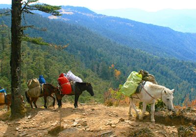 Bumdra Overnight Trekking in Paro