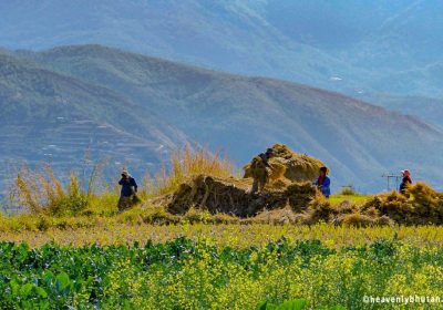 Photo Tours of Bhutan, Photography-Tours