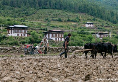 bhutan tourism package for couple