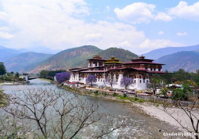 Journeys through India Nepal Bhutan- GNH-Nature-Wellness-Punakha-Dzong