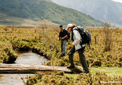 tour package of bhutan