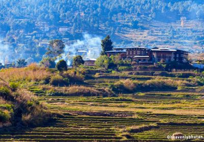 Village Hike Tours, Himalayas-Trials, Chimi-Lhakhang-Village