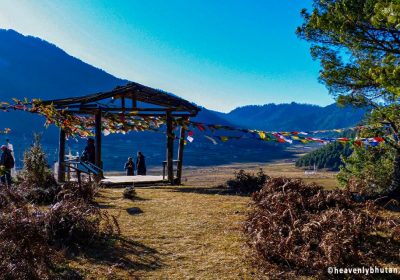 Best View Hikes, Himalayas-Trials-Phojikha