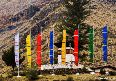 tour package of bhutan