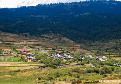 tour package of bhutan