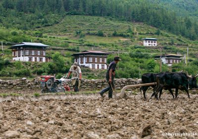 Home-Away-From-Home, Village, Kerala to Bhutan