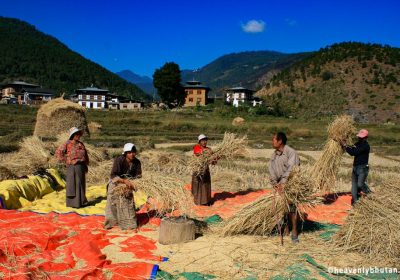 Village Homestay Journeys, Local Journey to Bhutan