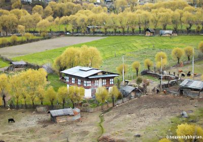 Homestay Holidays, Local-Journey-to-Bhutan, Bhutanese-House