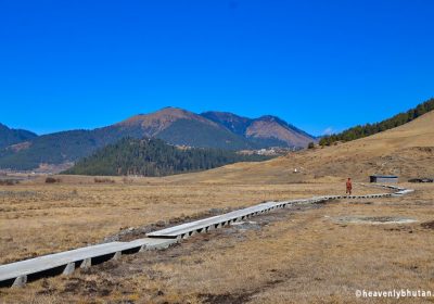 Nature Walks in Bhutan, Route-to-Happiness-Gangtey-Walk-Trials, Gangtey Nature Hike-Gangtey Nature Trail