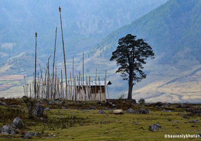 Package: Bagdogra to Bhutan