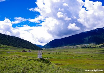 tour package of bhutan