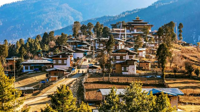 Gangtey in Bhutan is a breath-taking glacial valley, renowned for its natural beauty and as the winter habitat of the endangered black-necked cranes, offering tranquil surroundings and picturesque landscapes.
.
.
.
.
.
.
#phobjikha #bhutanbelieve #believe #heavenlybhutan #heavenlybhutantravels #bhutan #visitbhutan2024 #picturesoftheday #bhutantourism #Gangtey