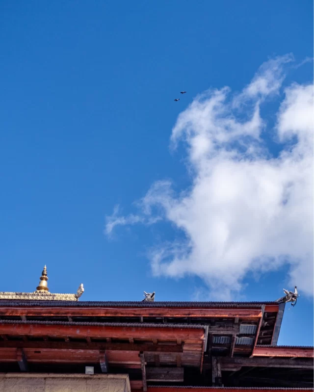 Clear skies ahead! 🌤️✨ Bright days, endless possibilities, and nothing but blue above. Time to shine!😍
.
.
.
.
.
#bhutanbelieve #bhutantourism #picturesoftheday #bhutandiaries #heavenlybhutan #heavenlybhutantravels #Bhutan #bhutandaires