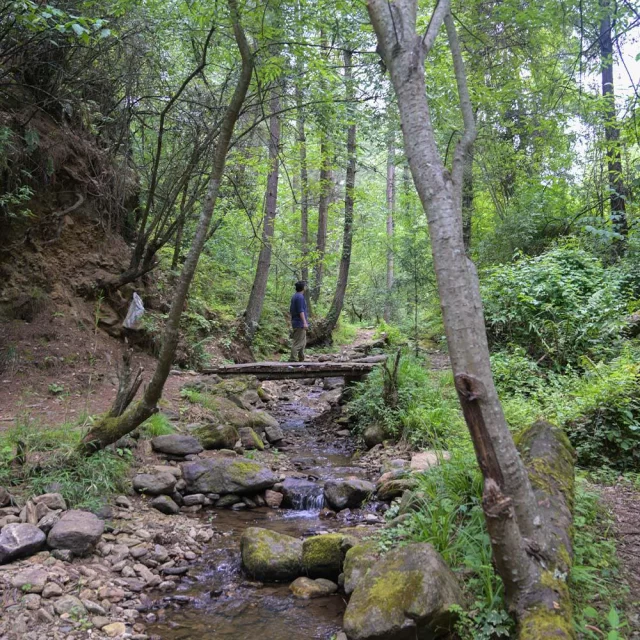 😍
.
.
.
.
.
#bhutanbelieve #bhutantourism #picturesoftheday #bhutandiaries #heavenlybhutan #heavenlybhutantravels #Bhutan #bhutandaires
