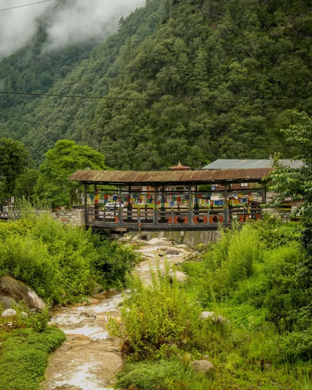 😍
.
.
.
.
.
#bhutanbelieve #bhutantourism #picturesoftheday #bhutandiaries #heavenlybhutan #heavenlybhutantravels #Bhutan #bhutandaires
